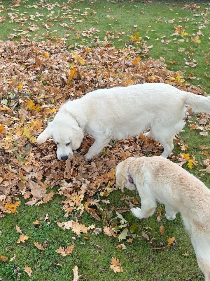 img, gtimg, 事业自然也 img, gtimg, 事业自然也